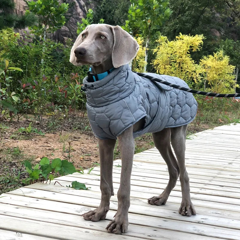 Reflective Winter Dog Coat