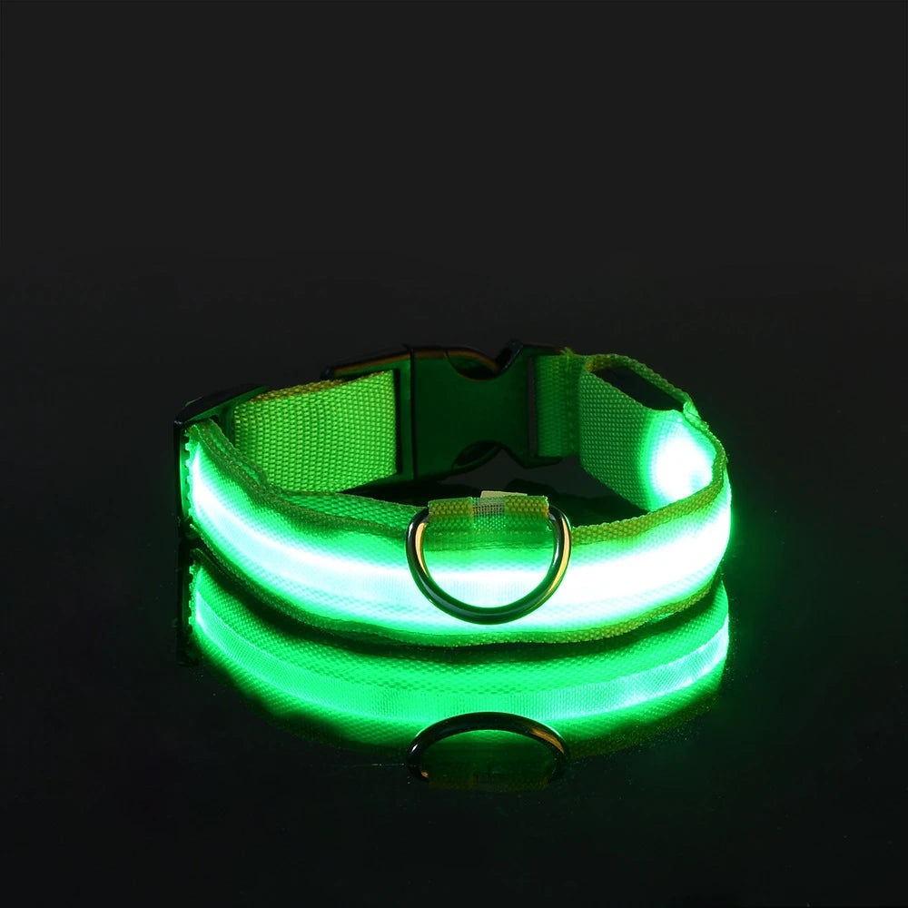 LED Light-Up Dog Collar