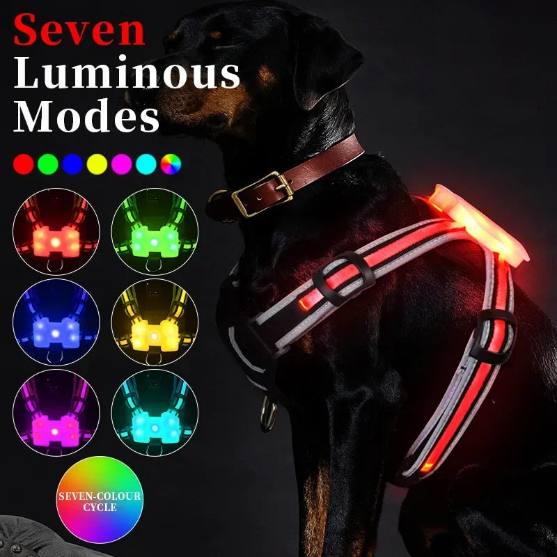 Adjustable LED Dog Harness – USB Charging Point