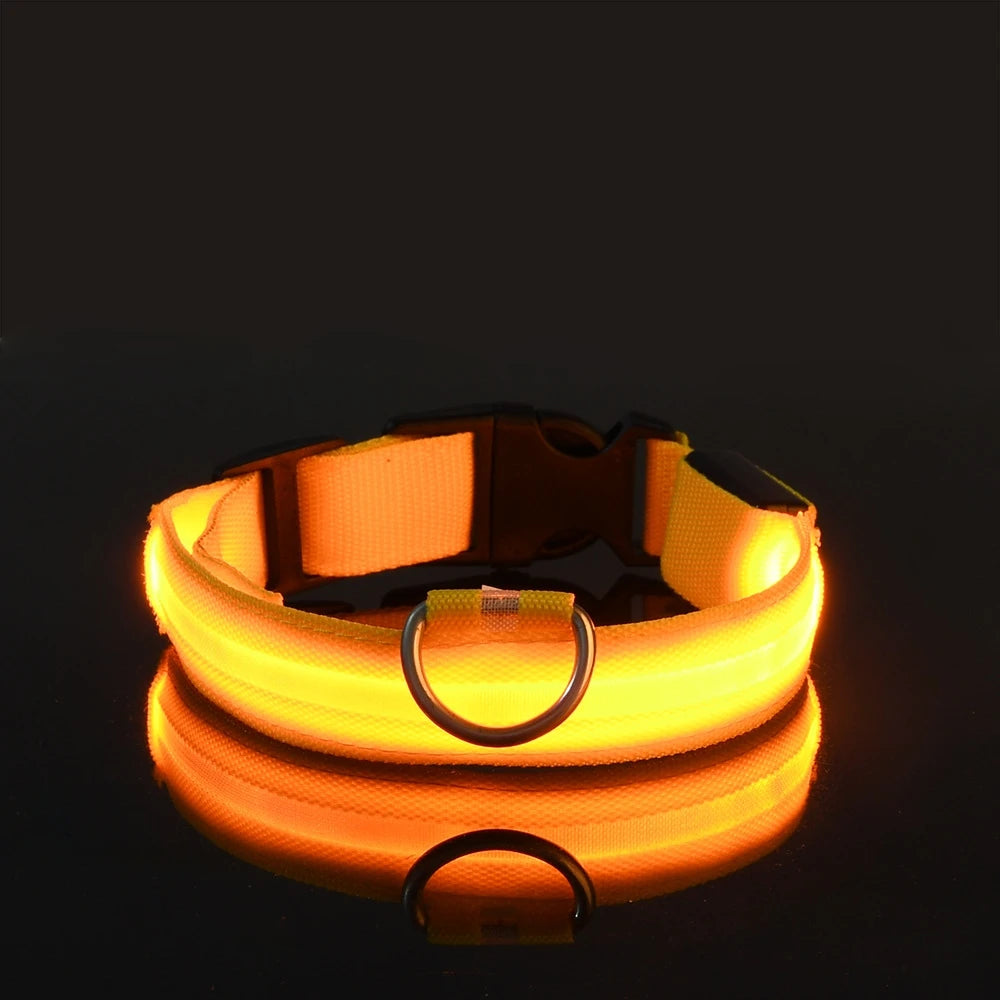 LED Light-Up Dog Collar