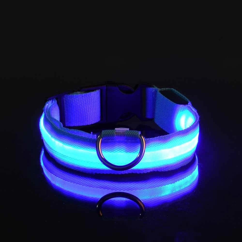 LED Light-Up Dog Collar