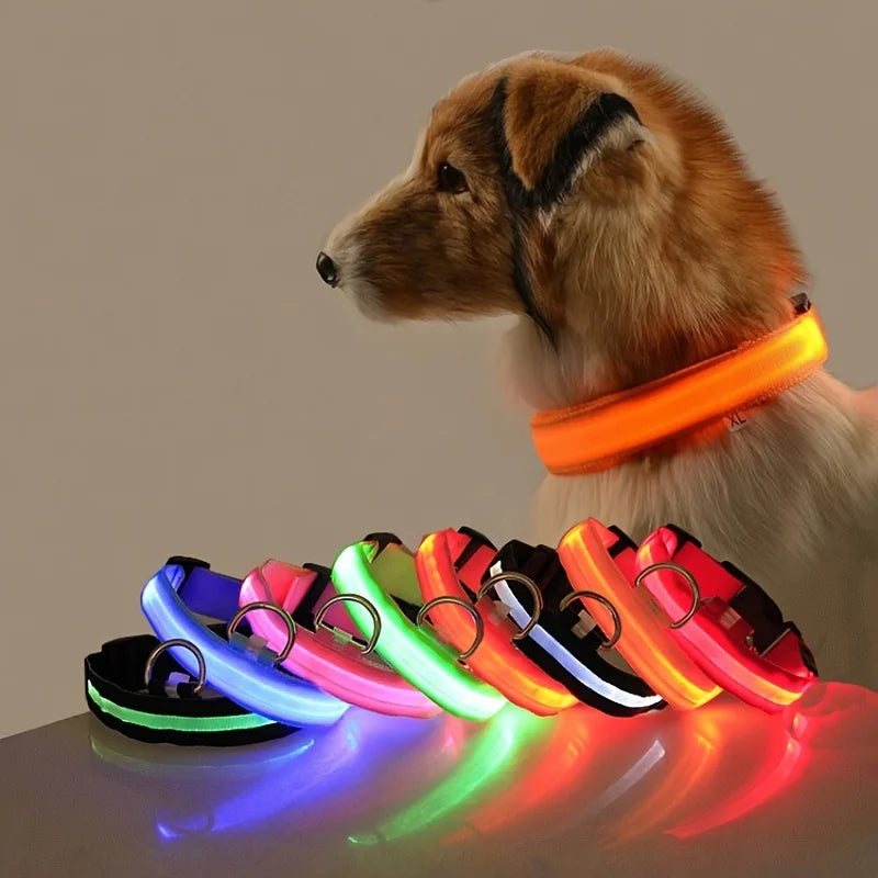 LED Light-Up Dog Collar