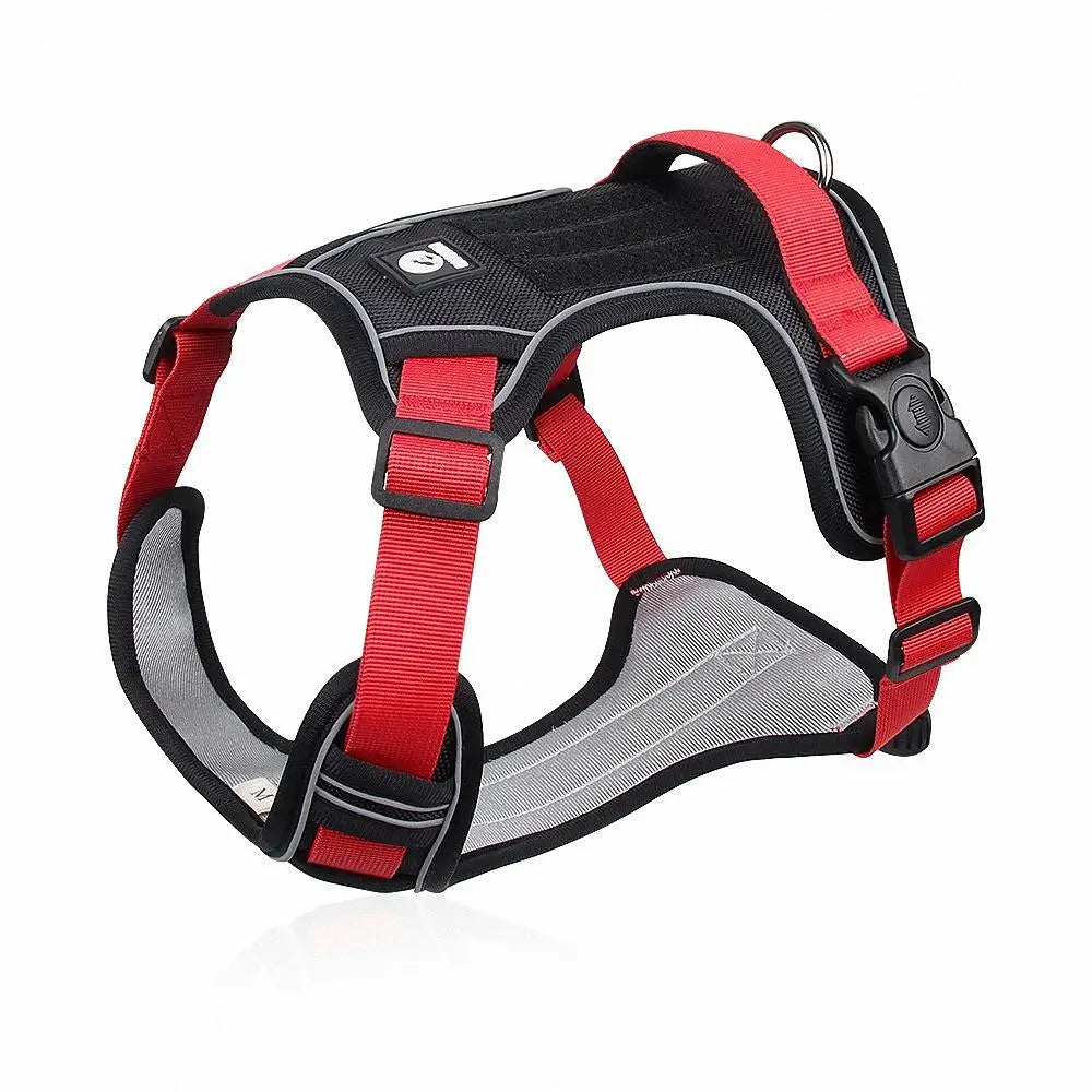 SafeStride™ Reflective No-Pull Dog Harness