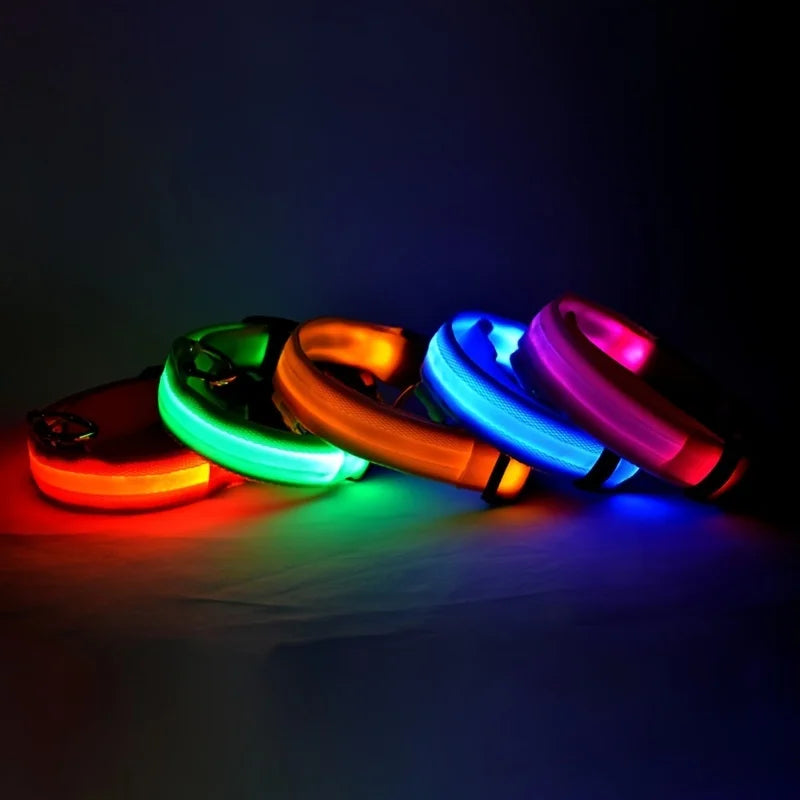 LED Light-Up Dog Collar