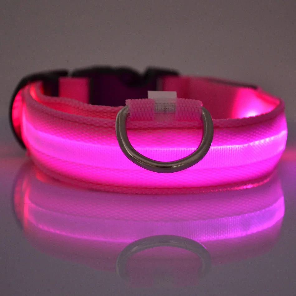 LED Light-Up Dog Collar