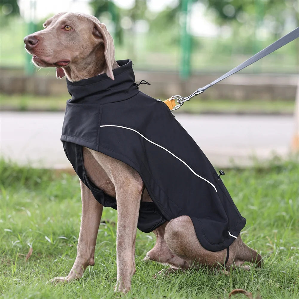 Waterproof Winter Dog Jacket