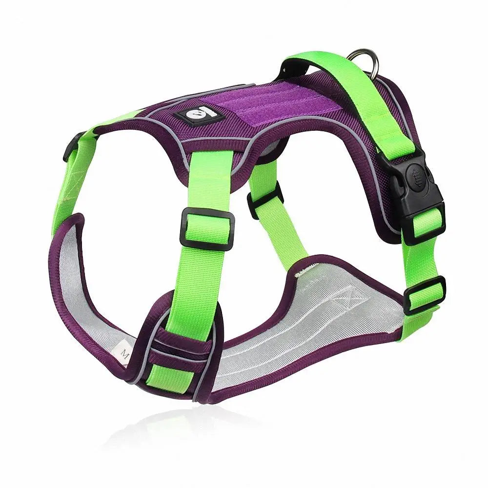 SafeStride™ Reflective No-Pull Dog Harness