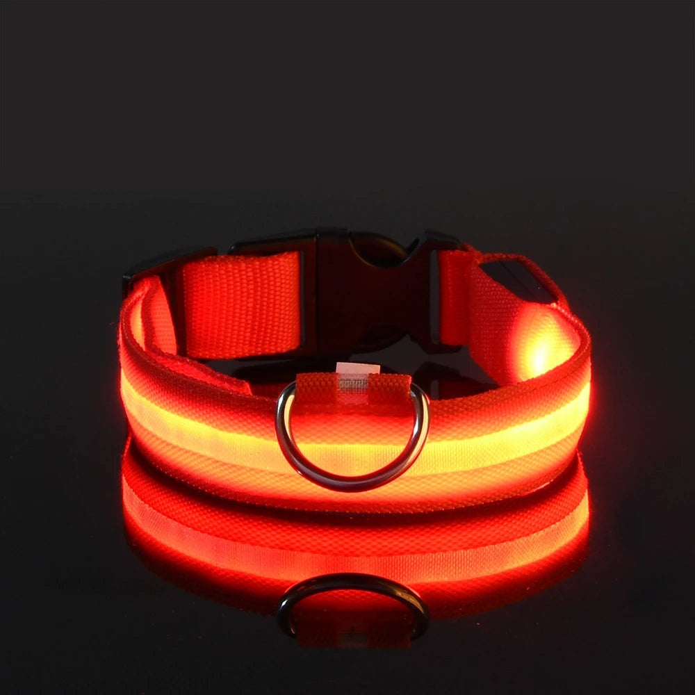 LED Light-Up Dog Collar