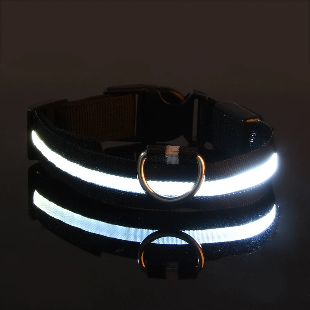 LED Light-Up Dog Collar
