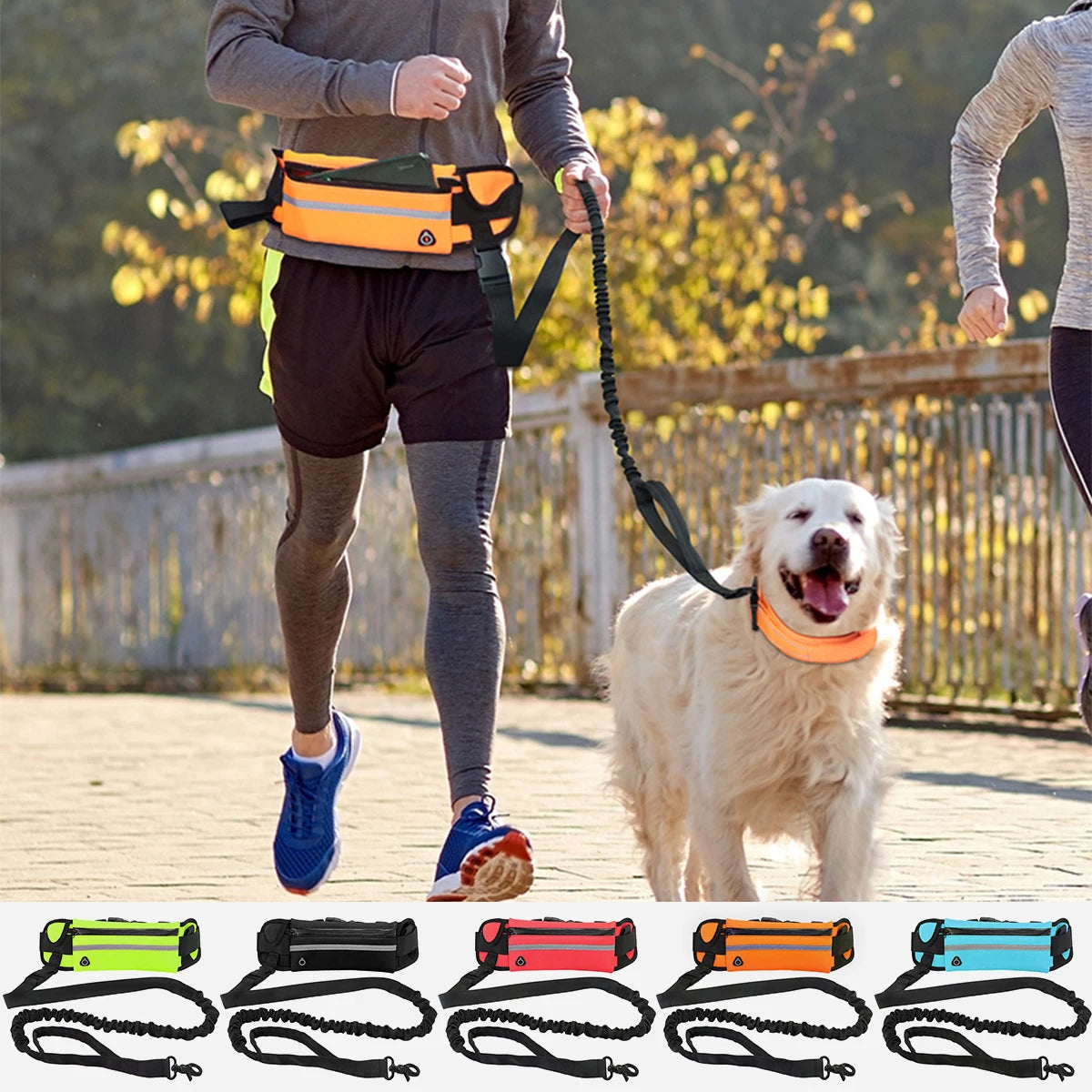 Hands-Free Reflective Dog Lead with Waist Belt