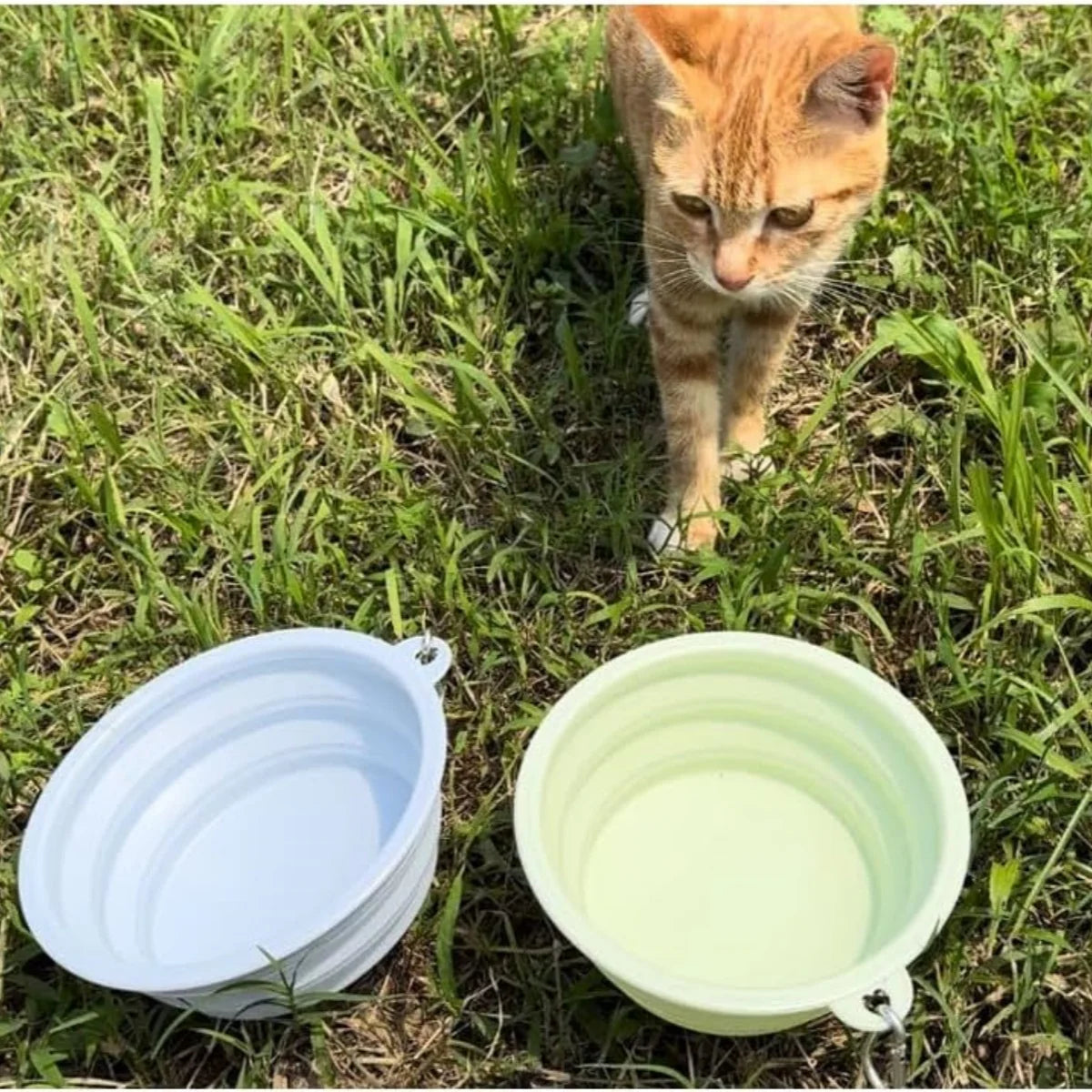 2-Pack Collapsible Silicone Pet Bowls
