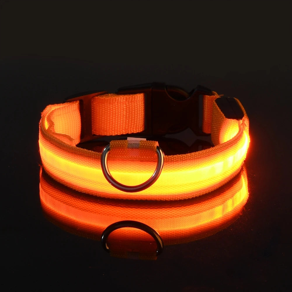 LED Light-Up Dog Collar