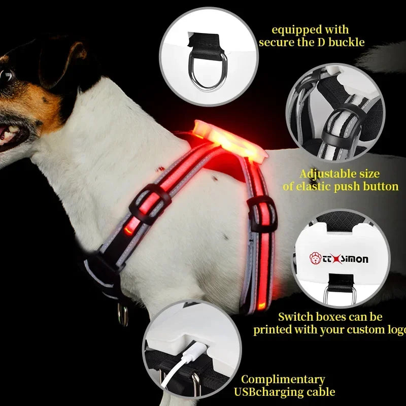 Adjustable LED Dog Harness – USB Charging Point