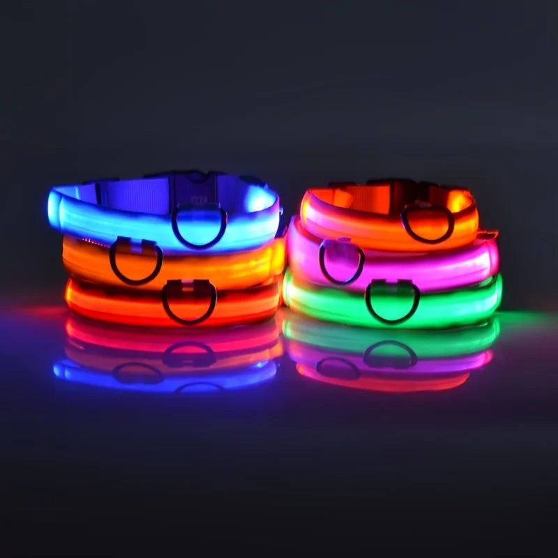 LED Light-Up Dog Collar