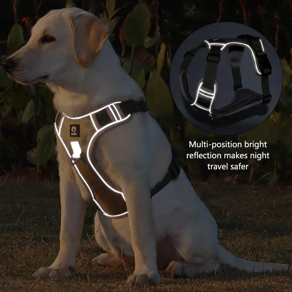 SafeStride™ Reflective No-Pull Dog Harness