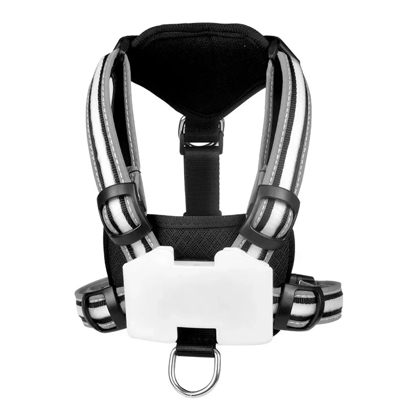 Adjustable LED Dog Harness – USB Charging Point